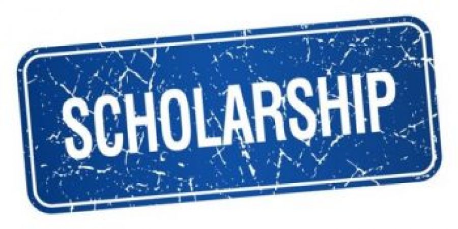 2020 Scholarship Application